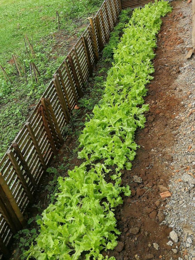Home Garden Chaeson บ้านสวน ชวนฝัน Lampang Exterior photo
